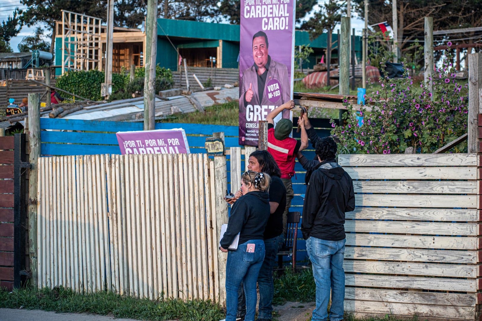 Lee más sobre el artículo Primeras palomas instaladas
