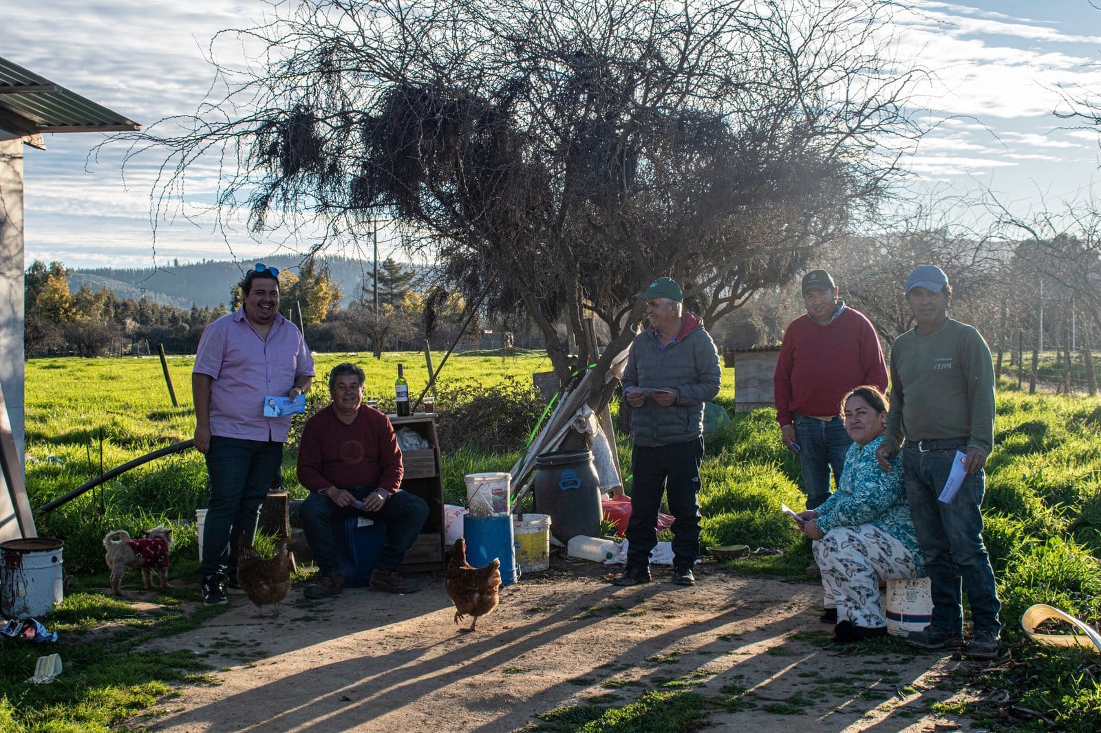 En este momento estás viendo Recorrido por Rinconada de Alcones