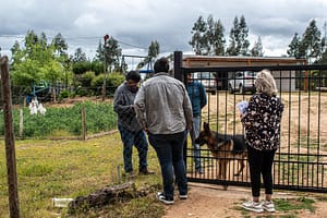Lee más sobre el artículo Recorrido por Cutemu, Quebrada de Los Barros, El Peral, El Cardal y Lo Valdivia
