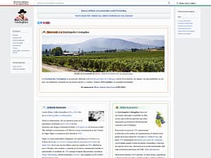 Lee más sobre el artículo Mi compromiso con la promoción de la cultura: la Enciclopedia Colchagüina