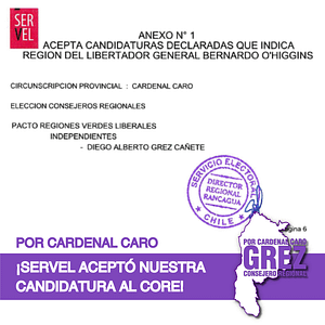 Lee más sobre el artículo SERVEL confirmó nuestra candidatura al Consejo Regional